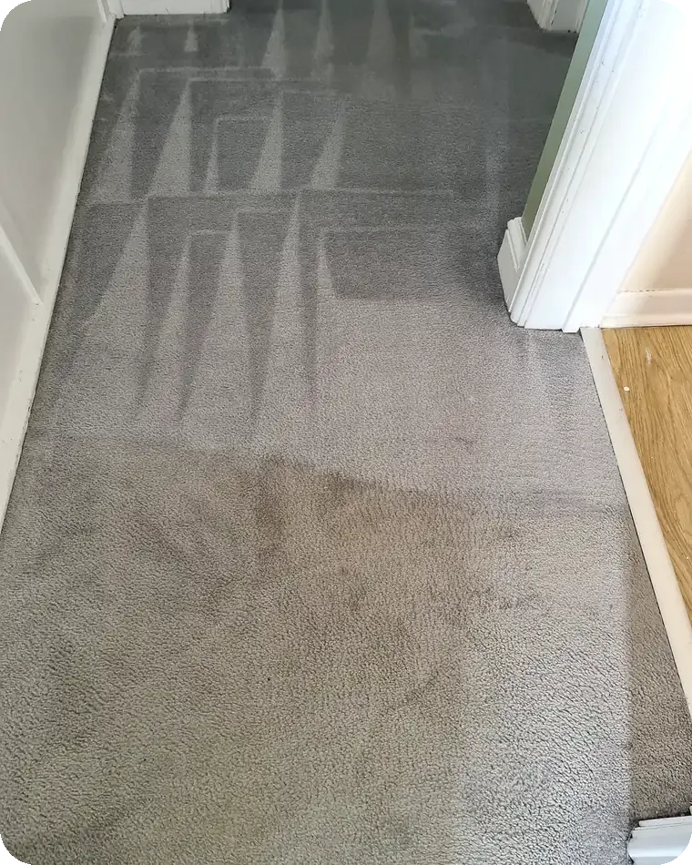 Carpet cleaning in Brigg — iClean 24/7